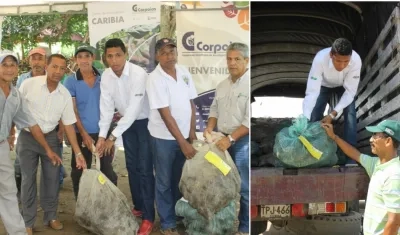 El proyecto en estos departamentos lo inició el Centro de Investigación Caribia de Corpoica con la caracterización de cada una de las asociaciones.