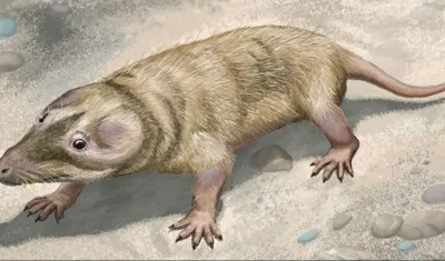 Brasilitherium, mamífero que vivió durante el Triásico Superior. 