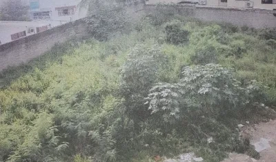 El lote objeto de la denuncia.