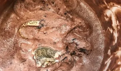 Partes del animal dentro del pote del helado.