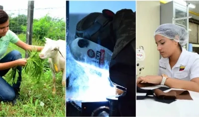 Los nuevos estudiantes iniciarán clases el 29 de enero de 2018.