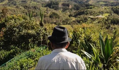 En el trimestre julio-septiembre sobresalió el sector agropecuario, que tuvo una variación positiva del 7,1 %.