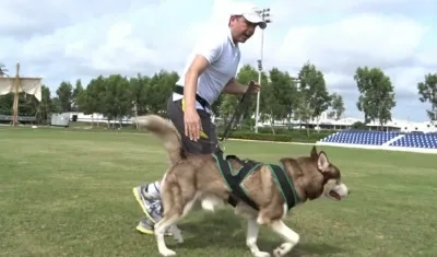 Así se práctica el Canicross. 