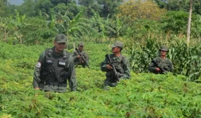 Pobladores denunciaron a la Personería de Tibú los hechos.