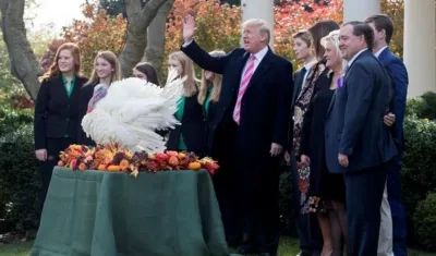  El presidente de los Estados Unidos, Donald J. Trump (c), indultada al pavo de nombre "Drumstick" junto a la primera dama, Melania Trump (4-d).