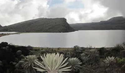Páramo de Sumapaz.