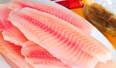 Cinco convenios de asistencia técnica por $ 6.390 millones serán para los productores de tilapia en Colombia.