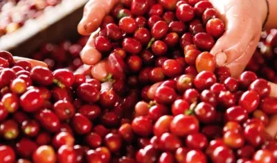 E resultado fue "consecuencia de las fuertes y constantes lluvias en gran parte del país".