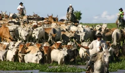 La Unesco reconoció el valor de los cantos colombianos y venezolanos.