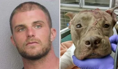  Brendan Evans, de 31 años, será acusado de 17 delitos.