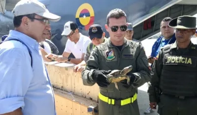La Corporacion Autónoma Regional del Atlántico recibió los animales.