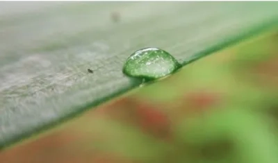 Carátula del boletín Clima y Salud.