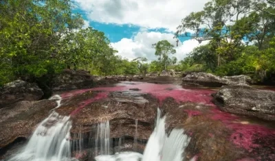 Brazo derecho de Caño Cristales