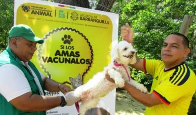 Si los amas vacúnalos. El Distrito realizará este domingo la última jornada de  vacunación antirrábica animal gratuita.