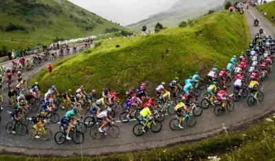 Pelotón en una carrera de ciclismo. 