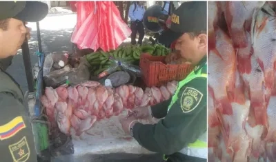 Momentos en que la Policía inspeccionaba el pescado.