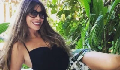 La actriz y empresaria Sofía Vergara.