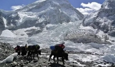 El frío golpeó fuerte a la zona sur de Nepal.