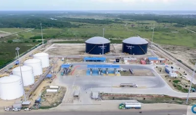 La planta en el sector de Palermo.