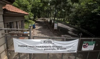 En Sao Paulo van 26 muertes por el virus de fiebre amarilla.