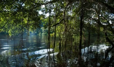 La convocatoria buscaba proyectos que apoyaran la gestión de GEO.