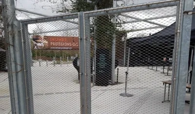 La normalidad volvió al Zoológico de París.