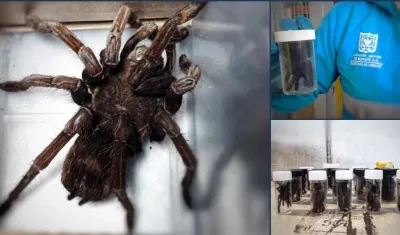 Un ciudadano surcoreano llevaba la encomienda.