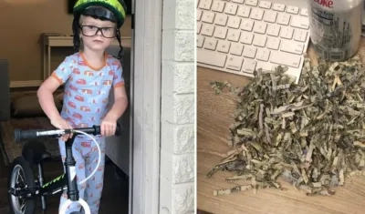 El niño tomó el sobre con el dinero y los trituró.