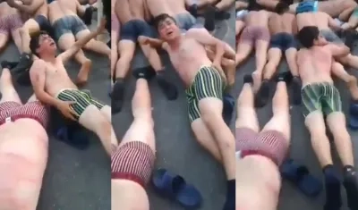 Momentos del maltrato. 