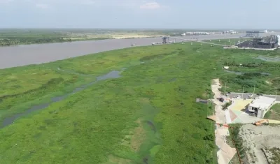 La enorme sedimentación y la isla que se ha formado junto a la Avenida del Río, a la derecha