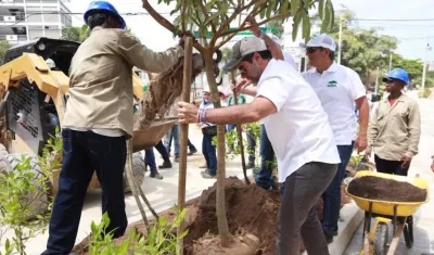 El Alcalde Alejandro Char, durante la siembra de árboles este miércoles.