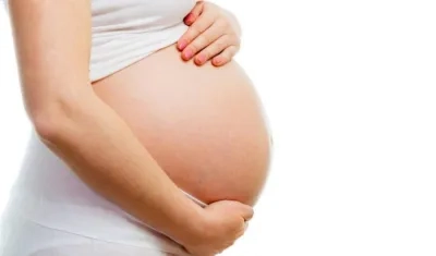 La técnica se ha aplicado a 12 mujeres con menopausia avanzada, la mitad de las cuales consiguieron tener actividad ovárica tras la intervención.