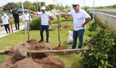 El gerente de la Agencia Distrital de Infraestructura, Alberto Salah.