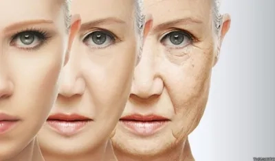 Este nuevo conocimiento podría tener aplicaciones cosméticas, como para cremas anti-arrugas.