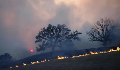  Las nueve víctimas mortales fueron halladas en Paradise.