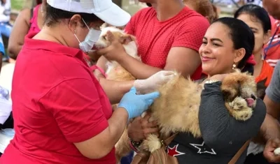 La ciudadanía atendió el llamado para vacunar sus mascotas.