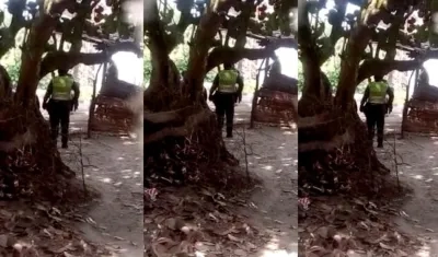 Momentos del operativo. 