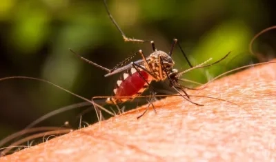  El continente más castigado con la malaria fue una vez más África.