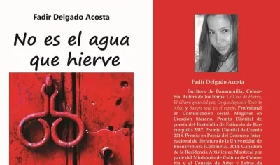 Portada del libro 'No es el agua que hierve' de Fadir Delgado.
