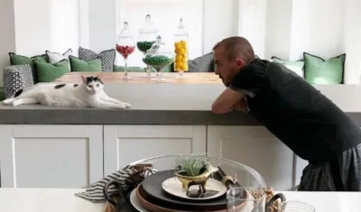 El actor Frankie Muniz y su gato.