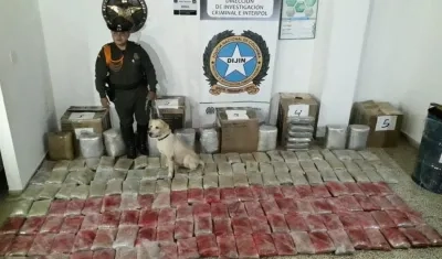 En la foto, la marihuana decomisada. Por el hecho no hubo capturas