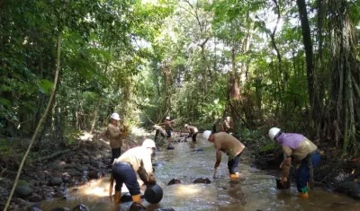 El vertido de crudo afectó "un caño seco y la quebrada La Gaitana y los ríos Róyota y Arauca.