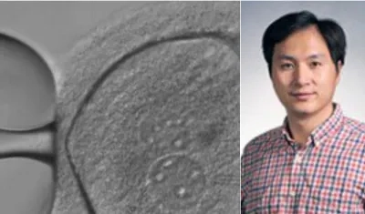 Según el artículo de la revista, el científico He Jiankui no respondió a una lista de preguntas sobre si la empresa había producido un nacimiento vivo.