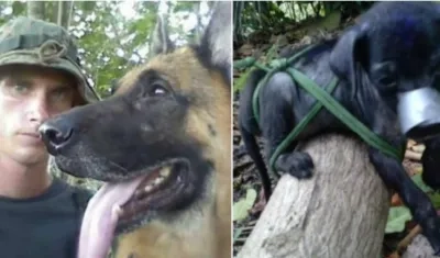 Este hombre fue detenido por las autoridades en Cuba.