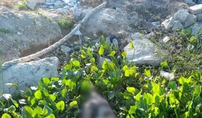 Cadáver hallado en el río Magdalena.