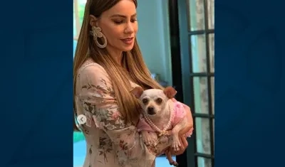 La actriz y empresaria Sofía Vergara.