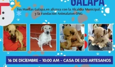 Imagen del evento.