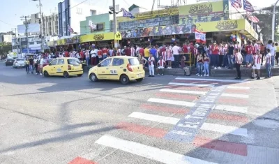 La cebra en La Troja.