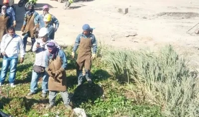 Obreros de la zona encontraron el cuerpo.