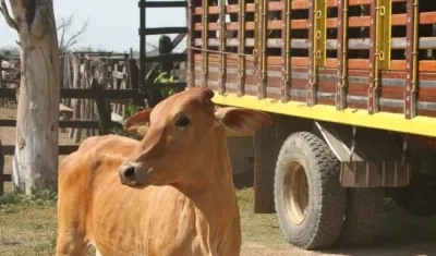 La oficina de Salud Pública Departamental programó labores de inspección las 24 horas en Carnaval.